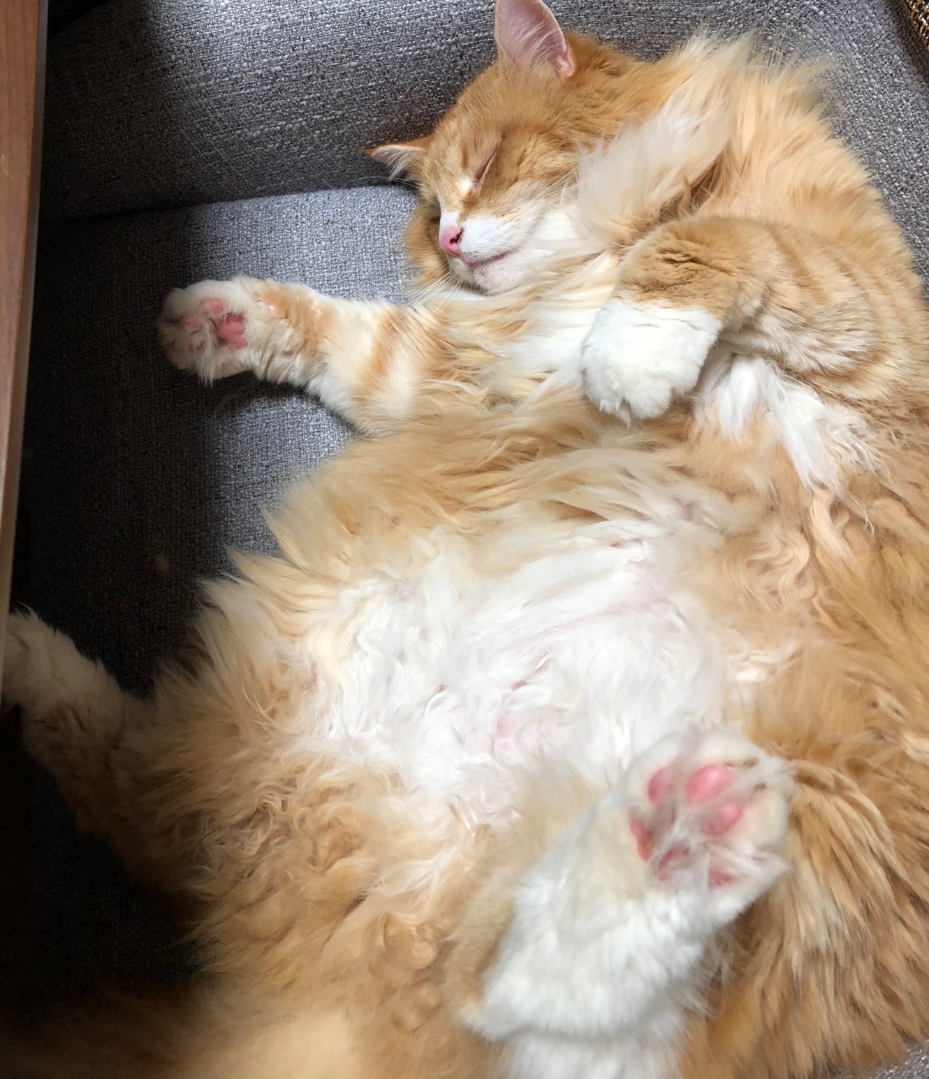 小西さんの写真