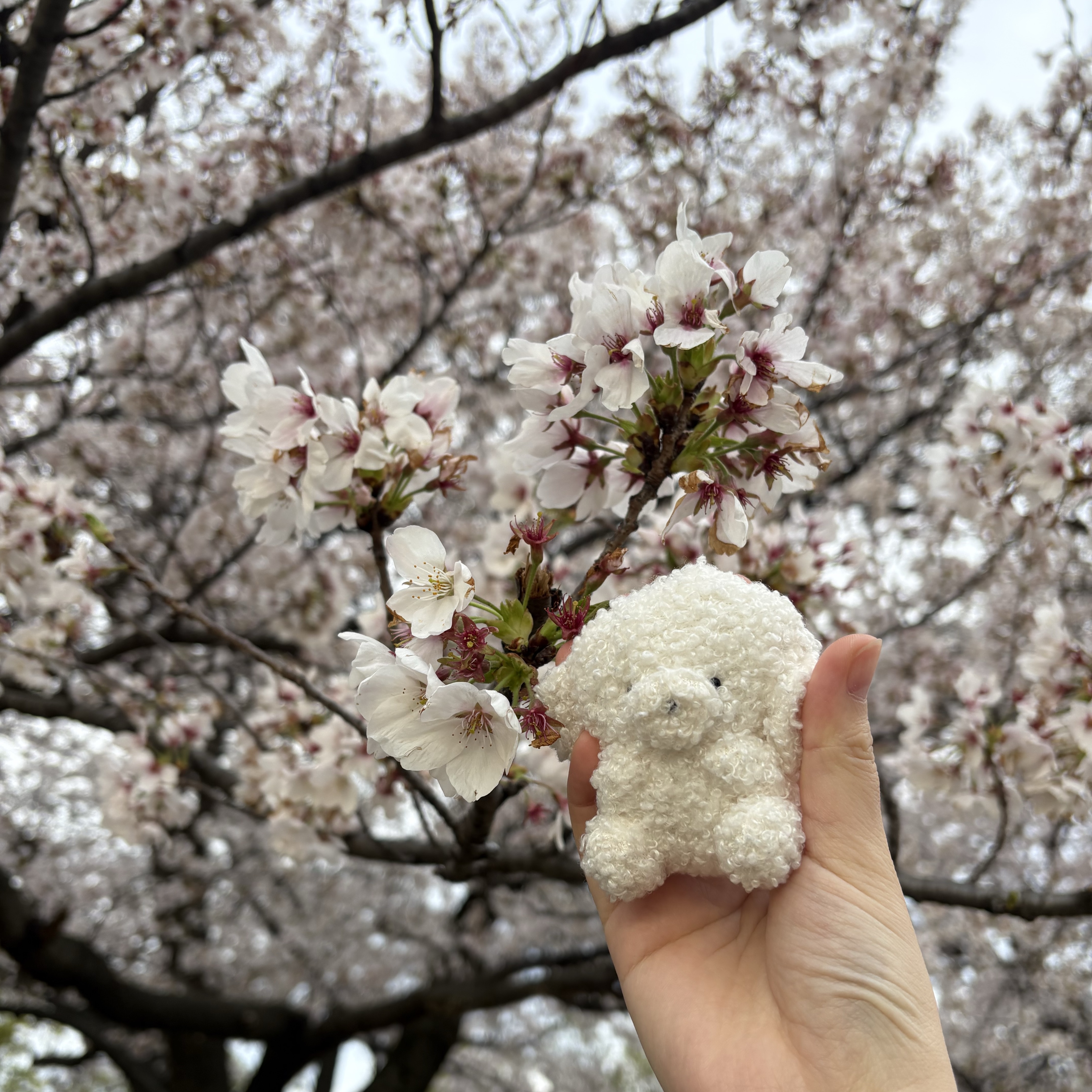 鈴木さんの写真