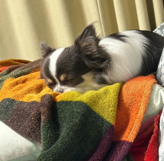 須佐さんの写真