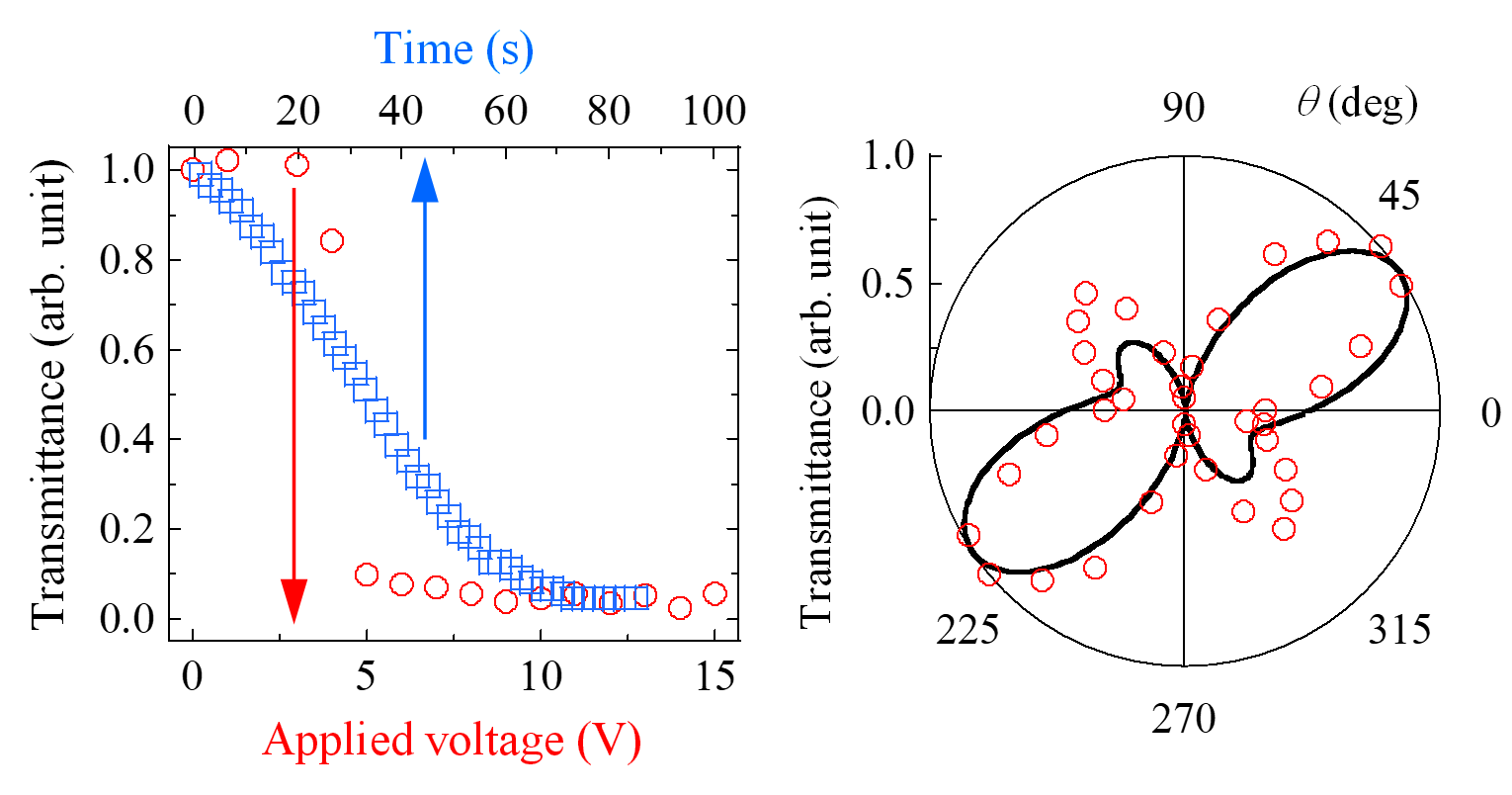 Graphical abstract of the publication