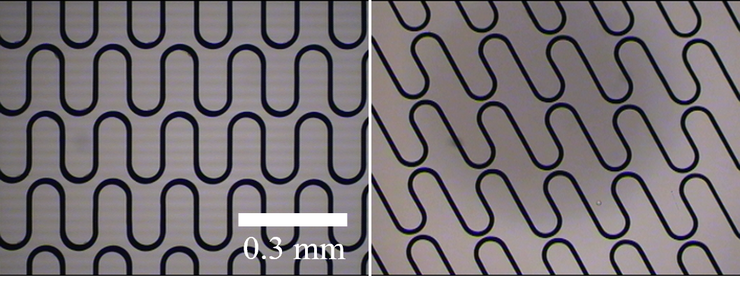Graphical abstract of the publication