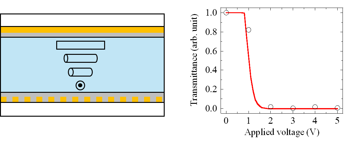 Graphical abstract of the publication