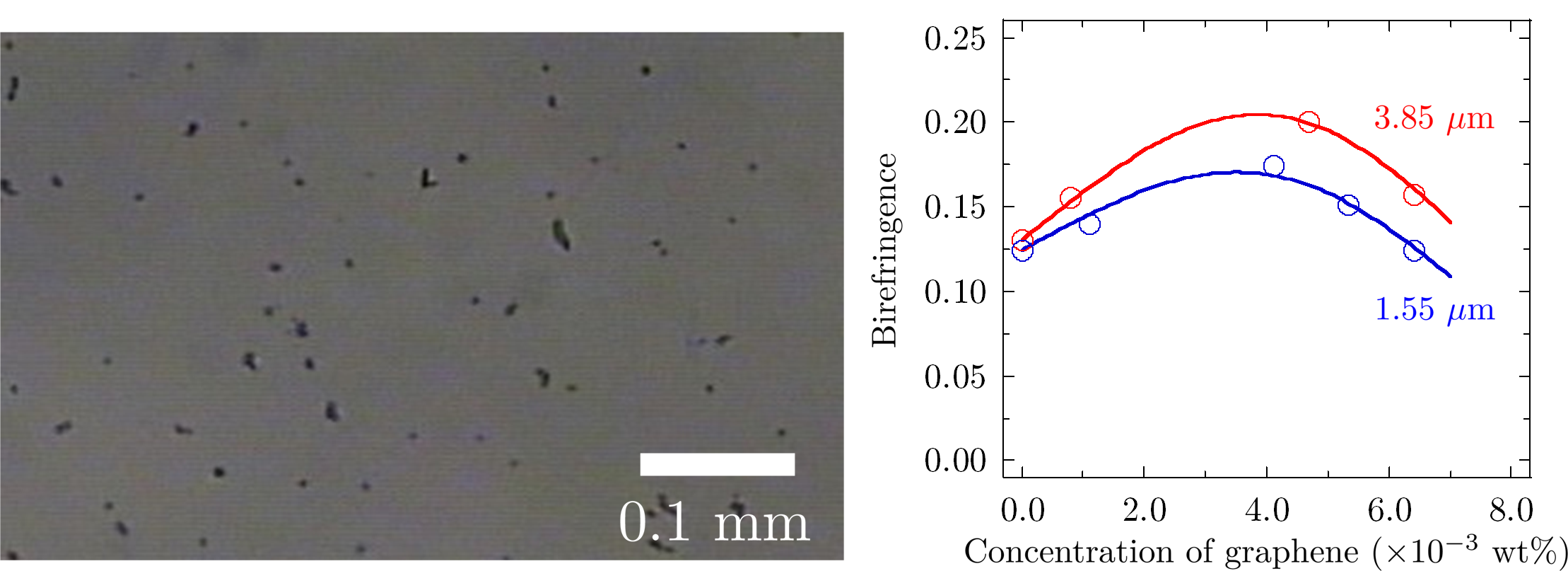 Graphical abstract of the publication