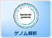 genome