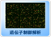 microarray