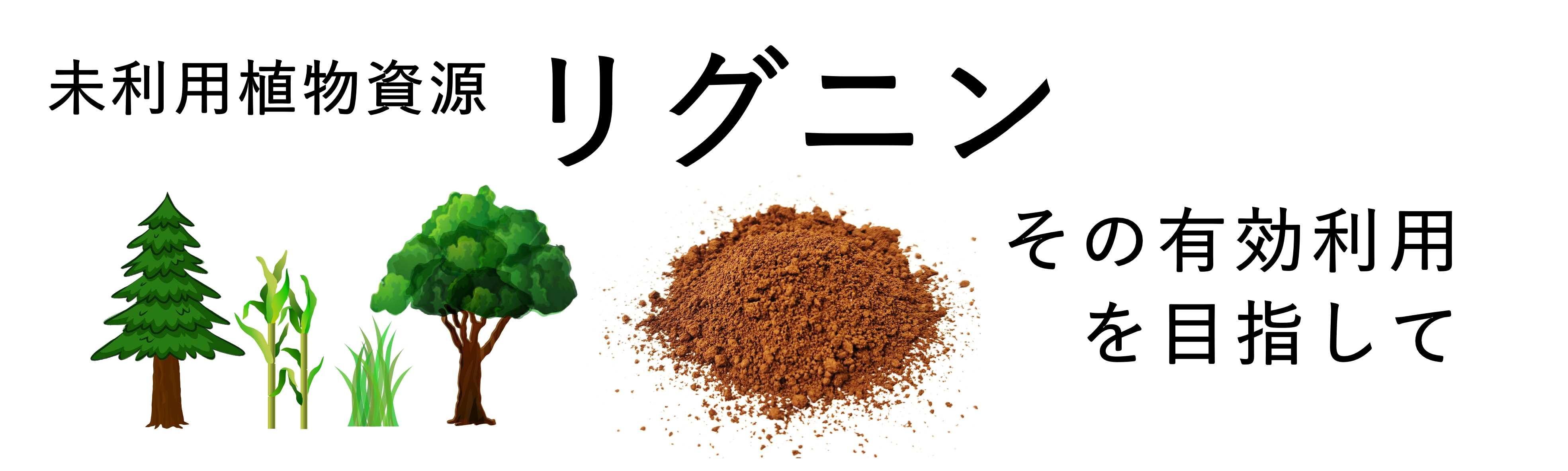 biomass lignin