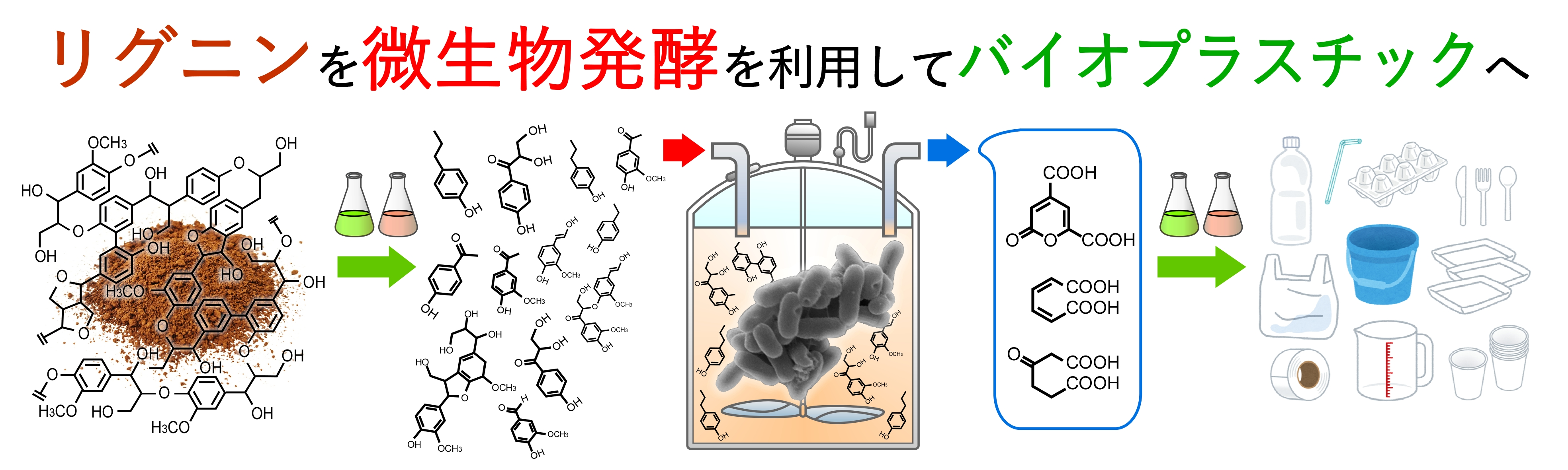 lignin to plastic