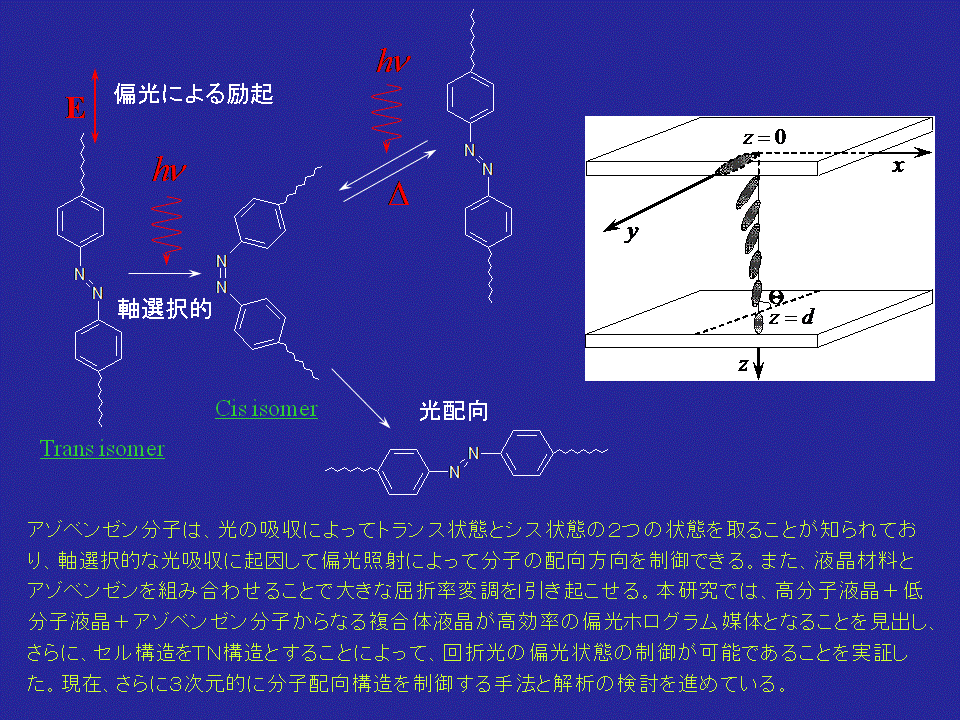 AZO_POLARIZATION.GIF - 12,071BYTES