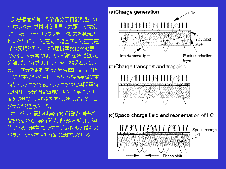 HYBRID_LAYER_PHOTOREFRACTIVE.GIF - 32,506BYTES