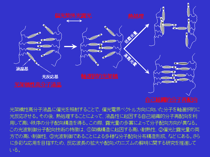 PHOTOALIGNMENT.GIF - 19,599BYTES