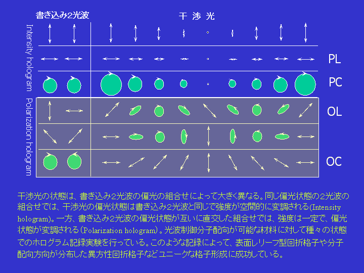 POLARIZATION_HOLOGRAM.GIF - 15,159BYTES