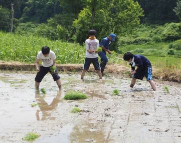 C:\Users\seiya\AppData\Local\Microsoft\Windows\INetCache\Content.Word\P6040979.jpg