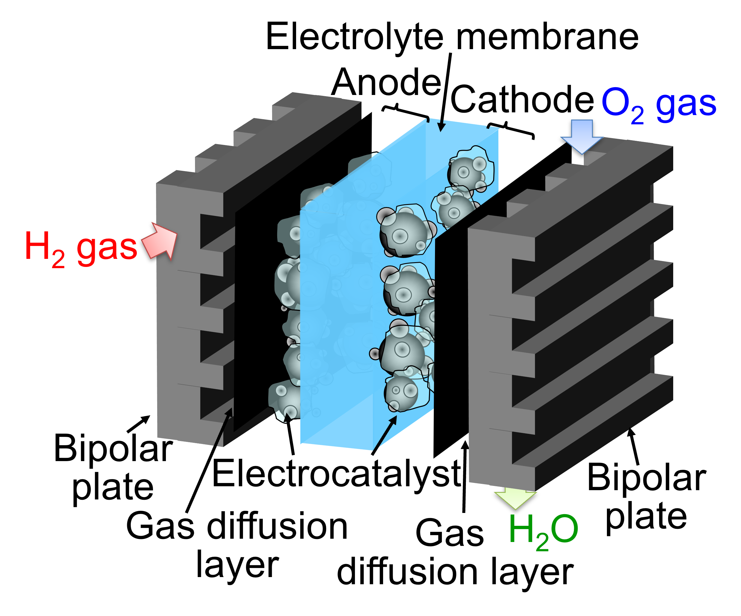 固体高分子形燃料電池の写真